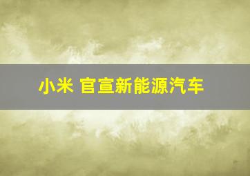 小米 官宣新能源汽车